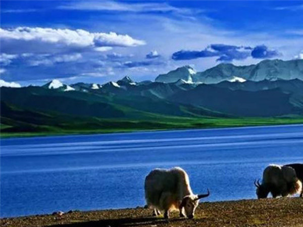 中集凌宇團(tuán)委愛(ài)心送捐活動(dòng)圓滿(mǎn)結(jié)束